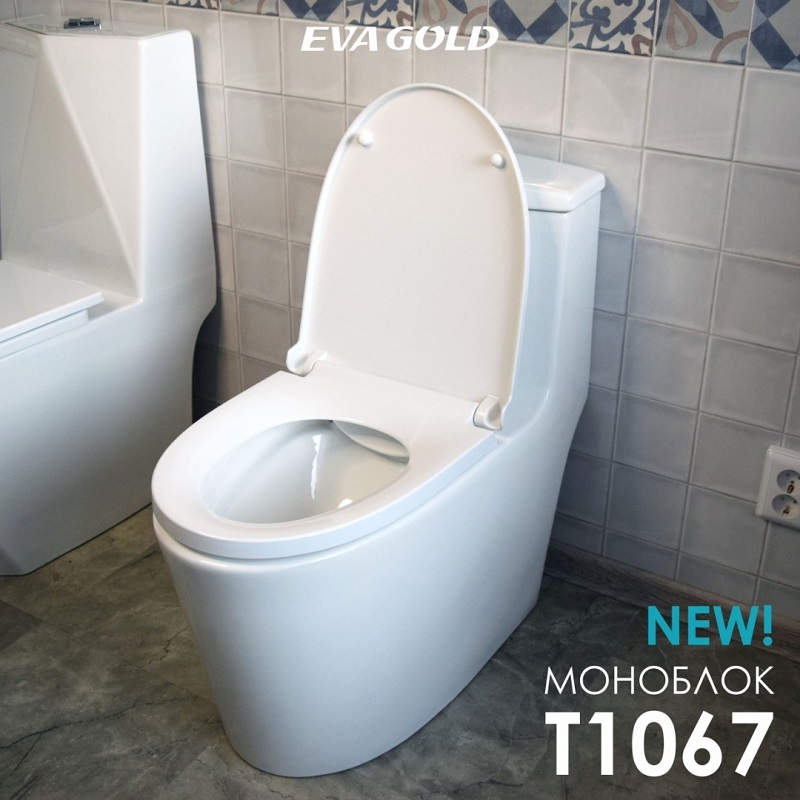 Новинка от EvaGold: безободковый унитаз-моноблок T1067 с микролифтом